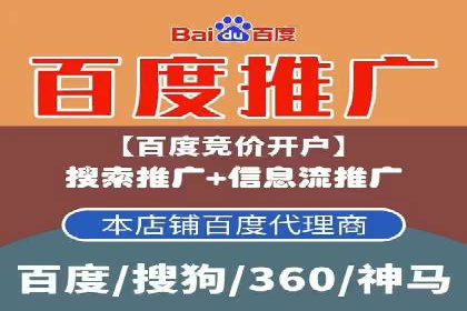 竞价推广策略：某电商平台的成功案例